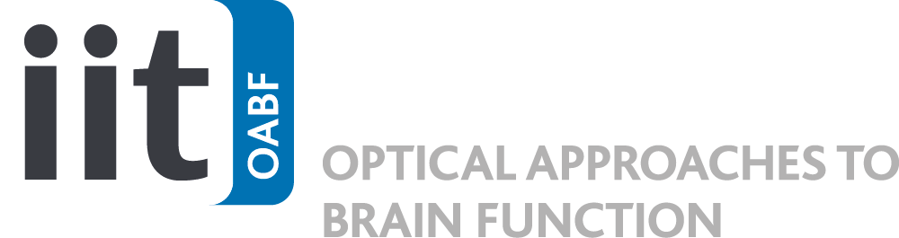 IIT